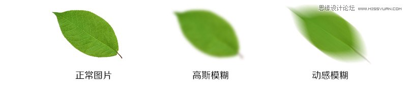 οٵߴϵĵBANNER