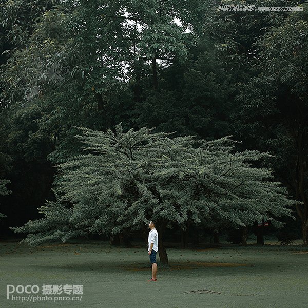 Photoshop如何使用后期小技巧补救前期不足