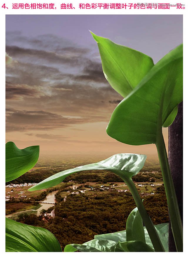 PhotoshopϳҶٻŮ