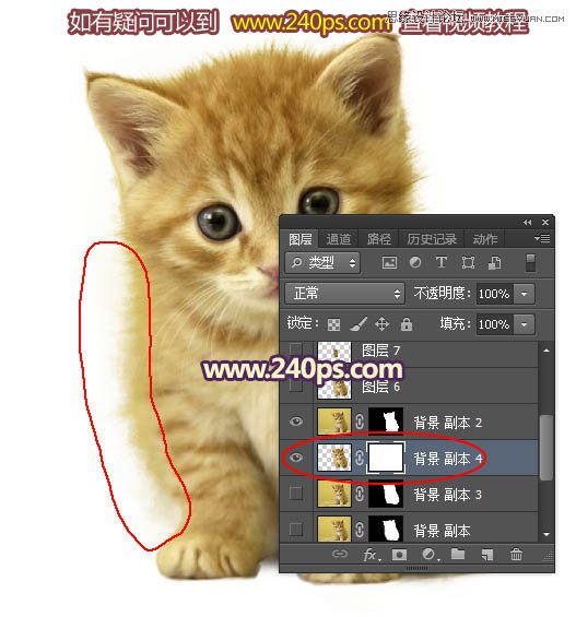 Photoshop利用调整边缘抠出毛茸茸的猫咪