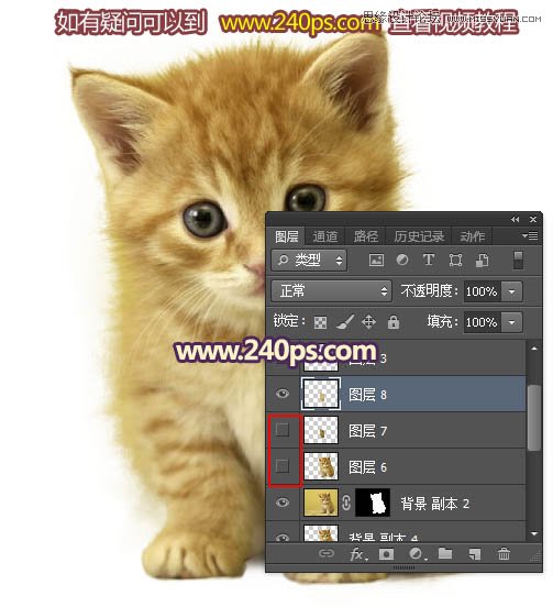 Photoshop利用调整边缘抠出毛茸茸的猫咪