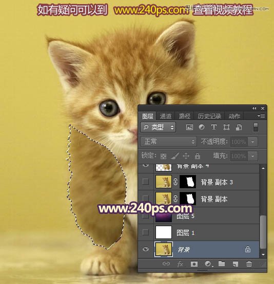 Photoshop利用调整边缘抠出毛茸茸的猫咪