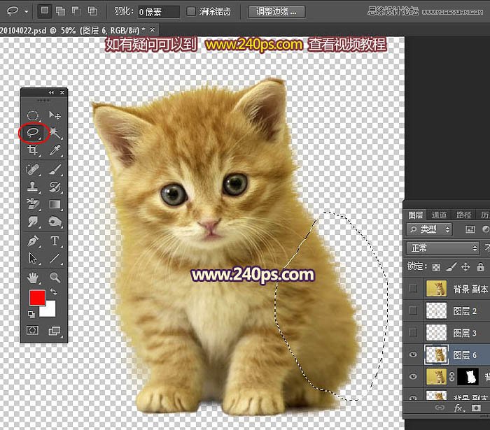 PhotoshopõԵٳë׵è