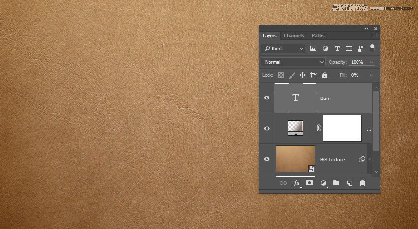 PhotoshopʹͼʽƤ