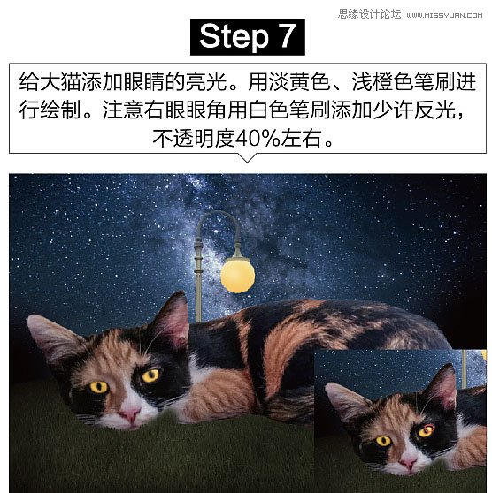 Photoshop合成星空下的猫咪和阅读女孩