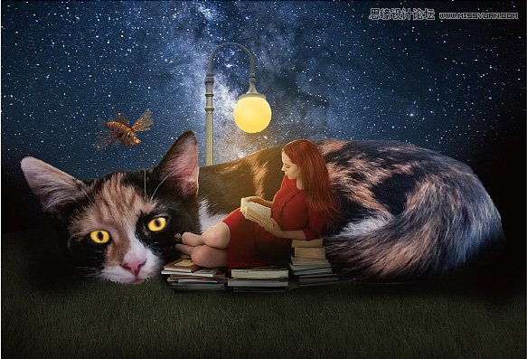 Photoshop合成星空下的猫咪和阅读女孩