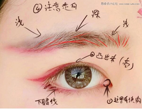 Photoshop详解仿手绘中如何绘制水灵的眼睛