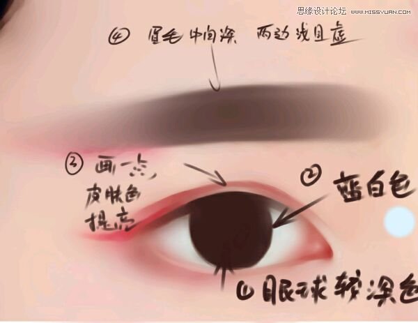 Photoshop详解仿手绘中如何绘制水灵的眼睛