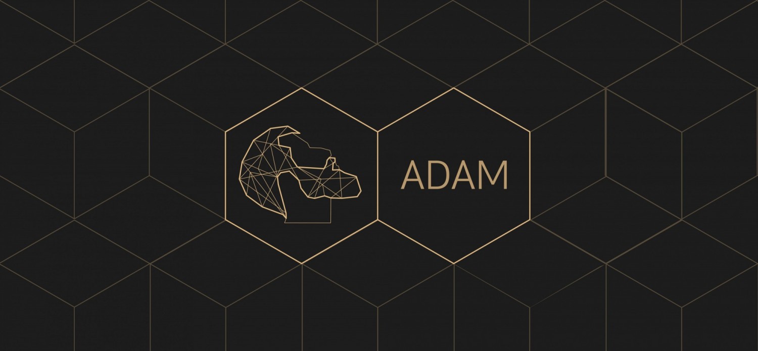 ׶ADAMʱװ