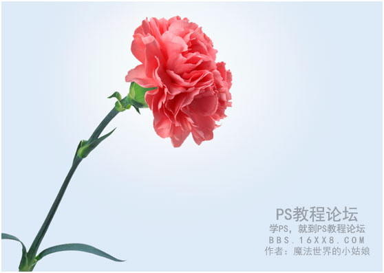Photoshop制作时尚风格的眼镜广告教程