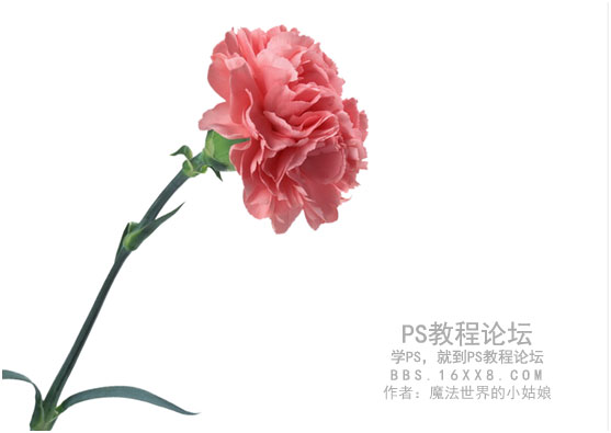 Photoshop制作时尚风格的眼镜广告教程