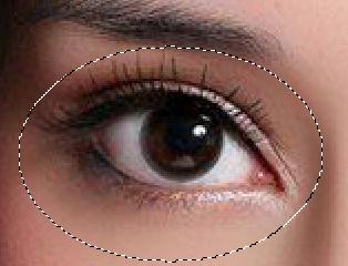 PhotoshopַٸŮ۾