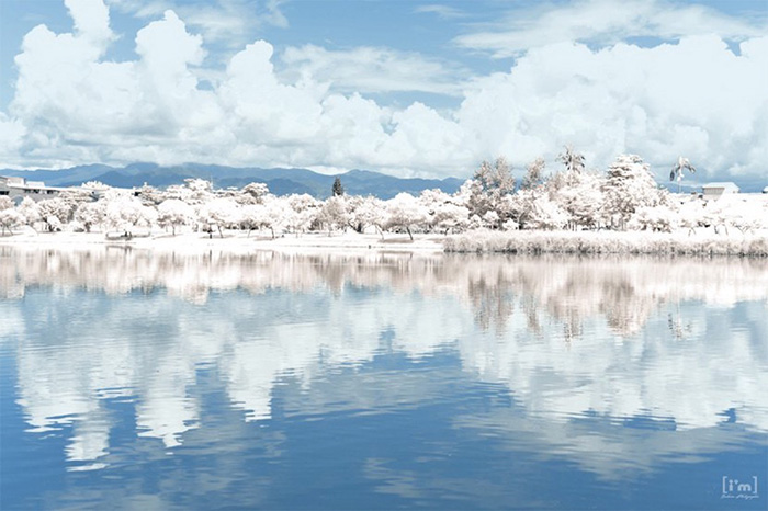Photoshop调出外景风景照片唯美红外线效果