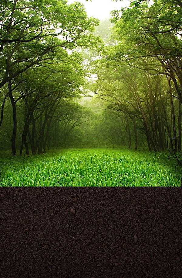 PhotoshopºÏ³É±»Ê÷Ö¦²øÈƵĴ´Ò⼪Ëû½Ì³Ì