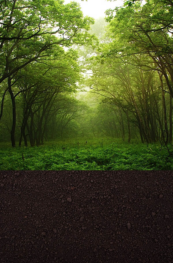 PhotoshopºÏ³É±»Ê÷Ö¦²øÈƵĴ´Ò⼪Ëû½Ì³Ì