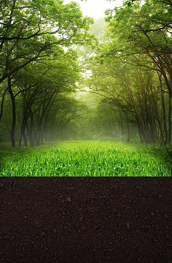 PhotoshopºÏ³É±»Ê÷Ö¦²øÈƵĴ´Ò⼪Ëû½Ì³Ì