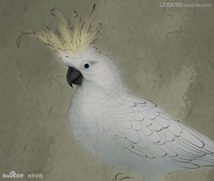 Photoshop绘制古典风格的工笔画手绘效果