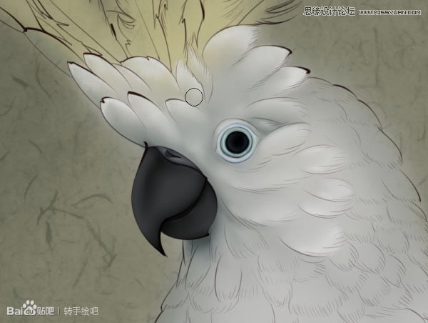 Photoshop绘制古典风格的工笔画手绘效果