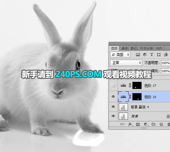 Photoshop抠出毛茸茸的小白兔教程