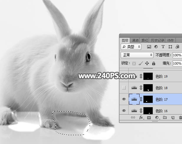 Photoshop抠出毛茸茸的小白兔教程