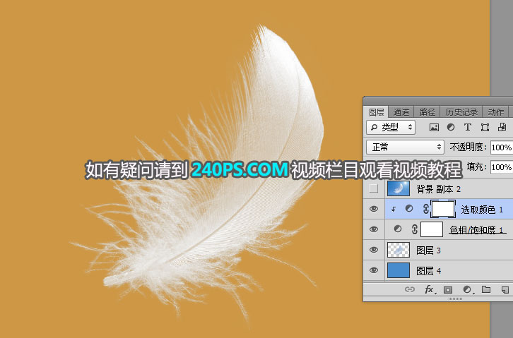 Photoshop巧用通道快速抠出很多绒毛的羽毛