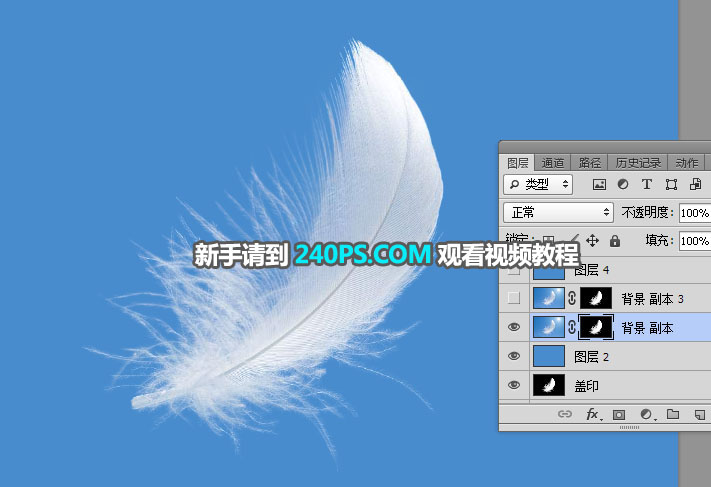 Photoshop巧用通道快速抠出很多绒毛的羽毛