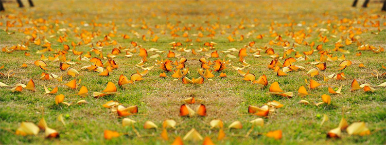 Photoshop3Dʯֽ̳