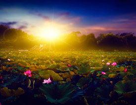 Photoshopٸɻ⾰ƬϦ