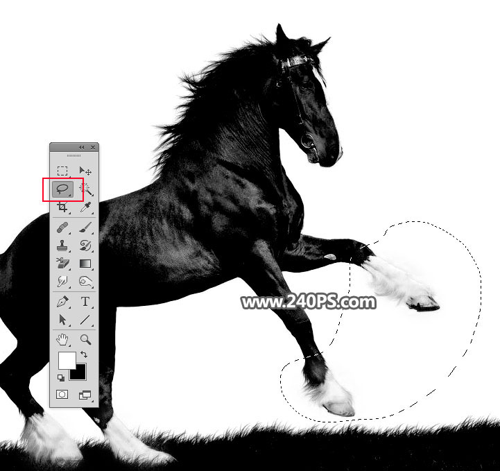 Photoshop使用通道工具抠出草地上的骏马