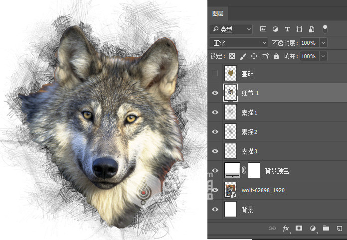 Photoshop给狼头照片添加素描铅笔画效果