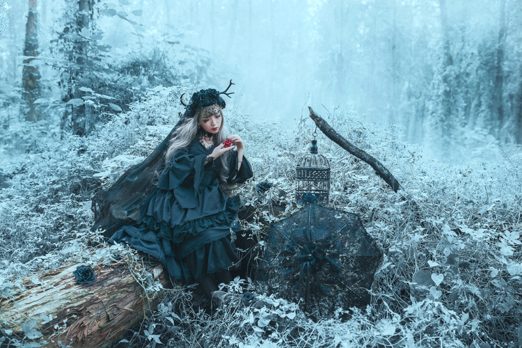 Gothic LolitaΨɾӰ