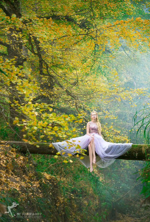 《秋天的童话》深秋森林唯美摄影作品