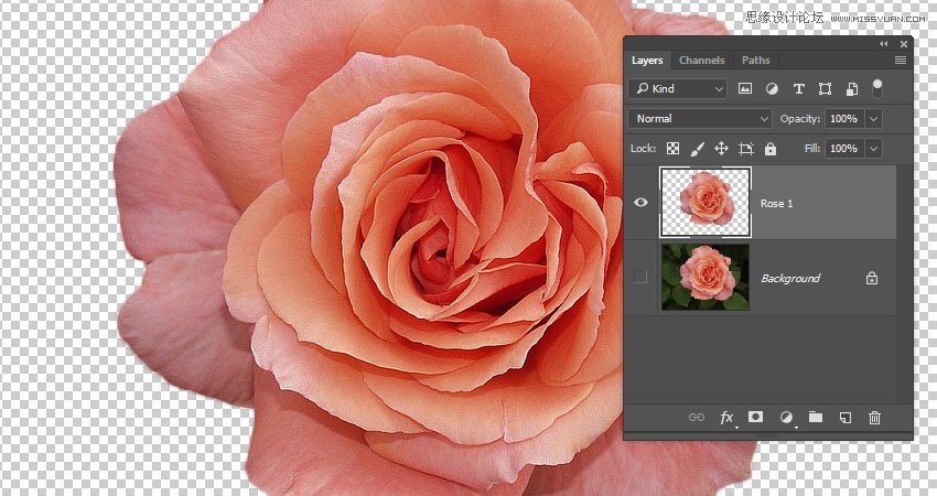 PhotoshopĻֽ̳