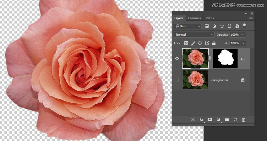 PhotoshopĻֽ̳