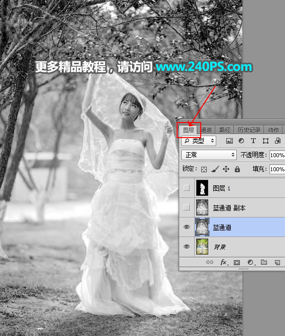 Photoshop抠出披着透明婚纱的新娘