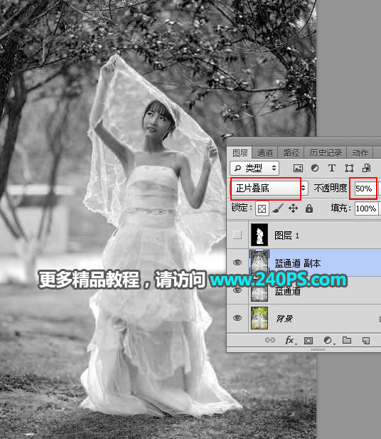 Photoshop抠出披着透明婚纱的新娘