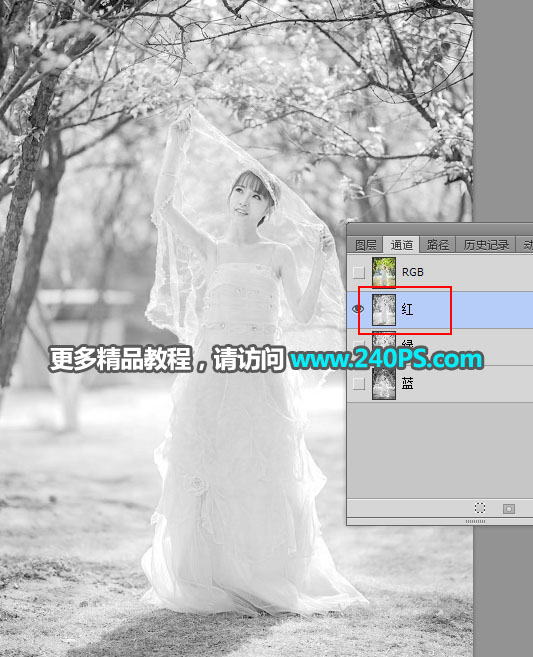 Photoshop抠出披着透明婚纱的新娘