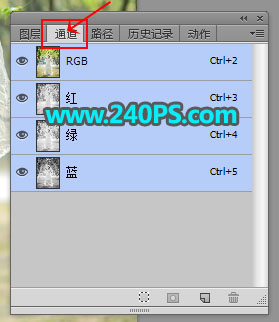 Photoshop抠出披着透明婚纱的新娘
