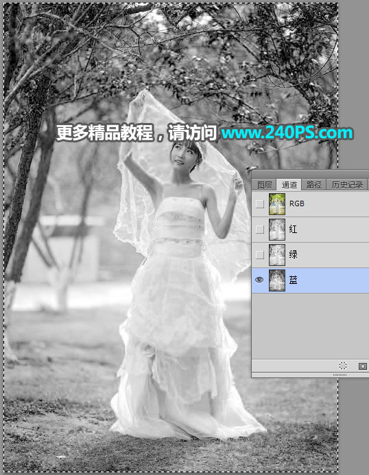 Photoshop抠出披着透明婚纱的新娘