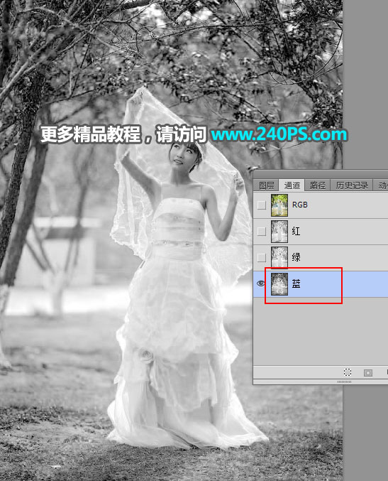 Photoshop抠出披着透明婚纱的新娘