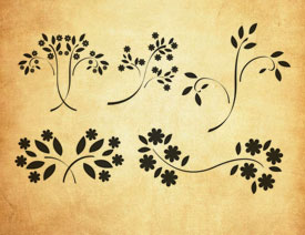 矢量风格的植物花纹装饰PS笔刷