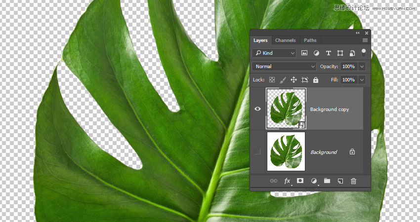 Photoshop3DɵĲ廭Ʒ