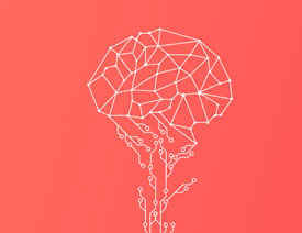 δû