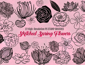 手绘鲜花和花朵装饰PS笔刷