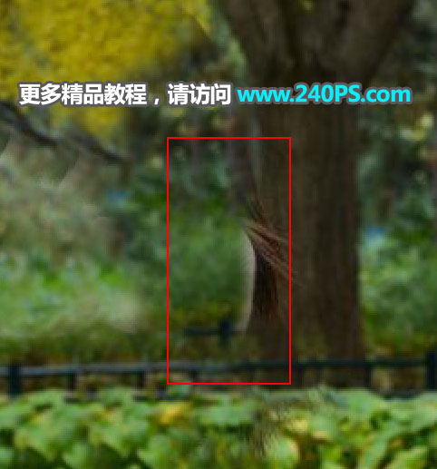 Photoshop快速的去掉风景照片中的人物
