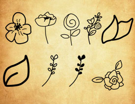 简笔画花朵和植物PS笔刷