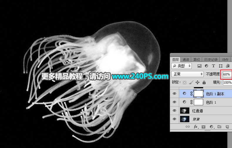 Photoshopͨ߿ٳ͸ˮĸ