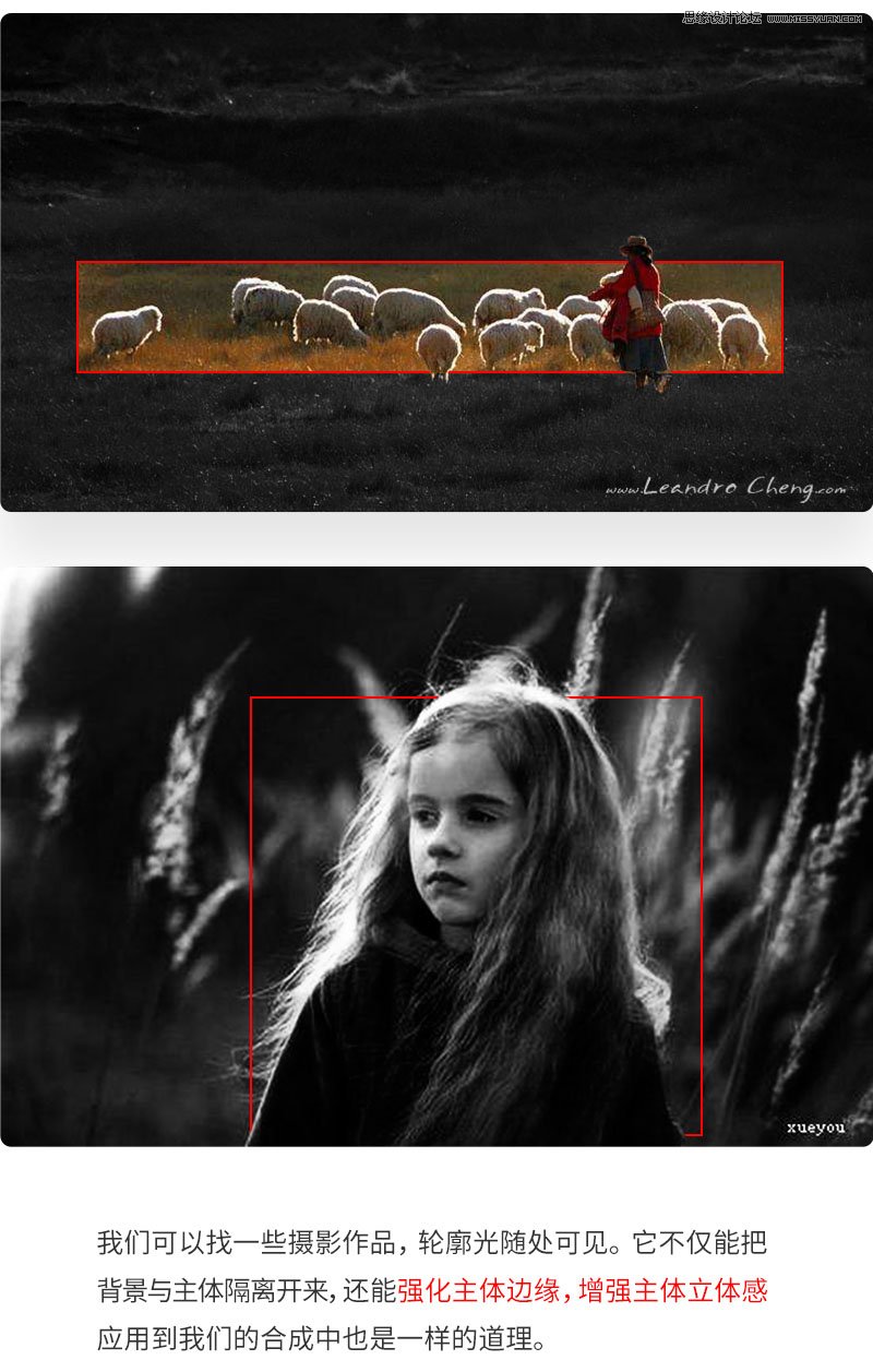 Photoshop޺ƹ񺣱