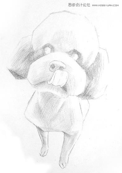 彩色铅笔画之泰迪熊犬的画法