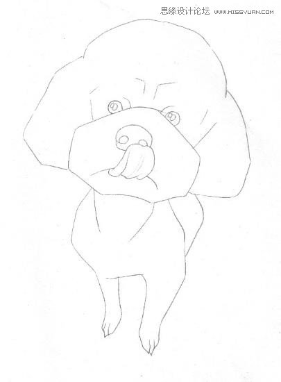 彩色铅笔画之泰迪熊犬的画法